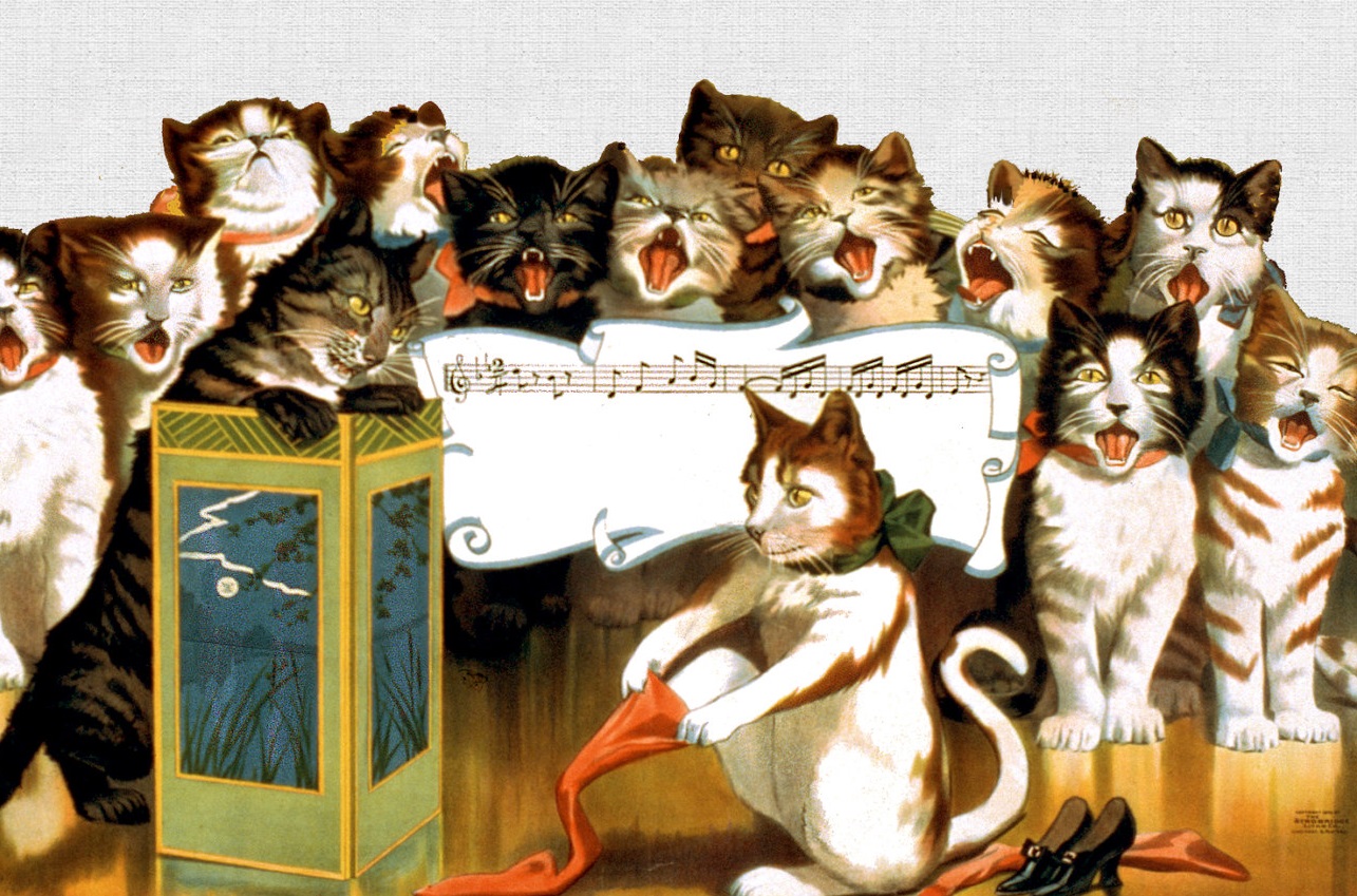 Just because it's a catolic choir singing MeOwww