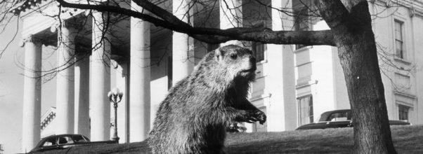 groundhog day kills himself groundhog day kills himself 28 images trophy unlocked groundhog day kills himself groundhog day kills himself 28 images trophy unlocked