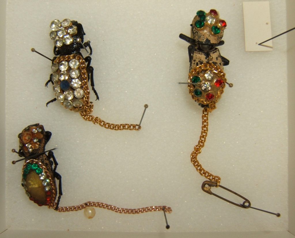 Insect Jewelry Maquech beetles
