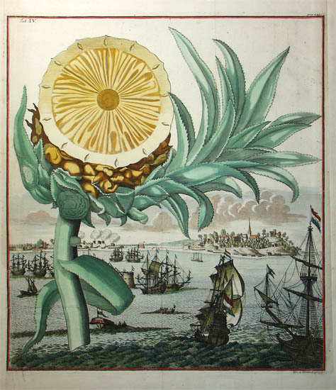 pineapple theft 18th century